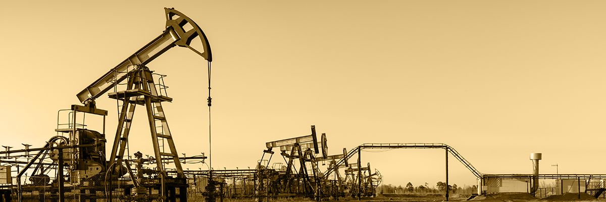 Уплотнительные кольца с поджимной пружиной для нефтегазовой промышленности